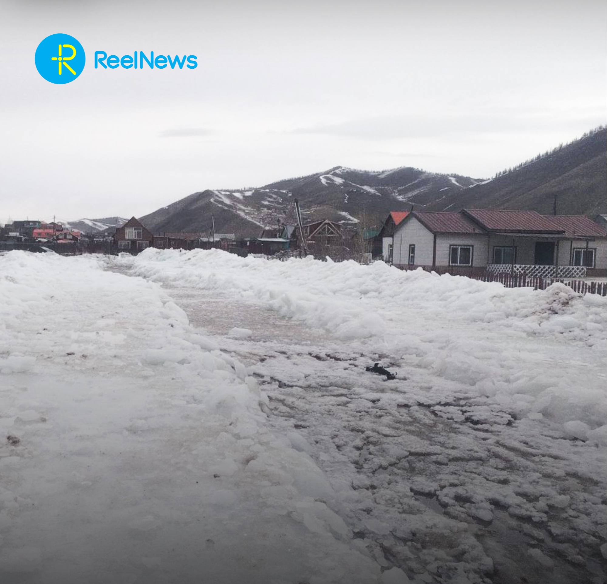 ХАЛИА, ДОШИН ҮҮССЭН ГАЗРЫН НӨХЦӨЛ БАЙДАЛ ДЭЭР АЖИЛЛАЛАА